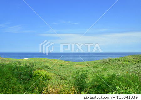 View from the train window from Naoetsu Station to Kashiwazaki Station on the JR East Shinetsu Main Line (Summer 2022) View from the train window from Naoetsu Station to Kashiwazaki Station on the JR East Shinetsu Main Line (Summer 2022) 115641339