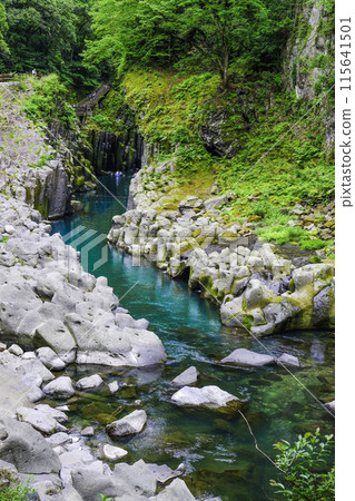 Columnar joints in Takachiho Gorge (vertical) Columnar joints in Takachiho Gorge (vertical) 115641501