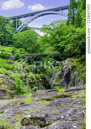 Takachiho Bridges (vertical) 115641503