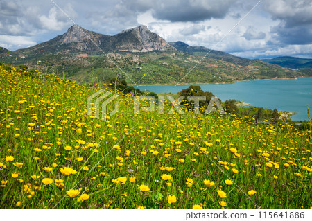 Blue lake and green valley 115641886