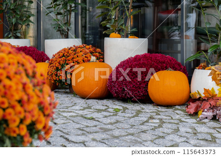 Exterior Beautiful cozy atmospheric halloween pumpkins decorated on porch. Autumn leaves and fall flowers holiday Thanksgiving October season outdoors in city Exterior Beautiful cozy atmospheric halloween pumpkins decorated on porch. Autumn leaves and fall flowers holiday Thanksgiving October season outdoors in city 115643373