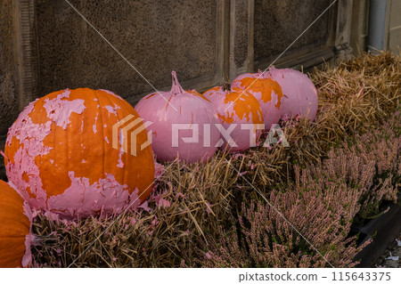 Fall cozy pink colored pumpkins in autumn outside. Thanksgiving or Halloween holiday decoration. House entrance in festive seasonal decor. Atmosphere Fall cozy pink colored pumpkins in autumn outside. Thanksgiving or Halloween holiday decoration. House entrance in festive seasonal decor. Atmosphere 115643375