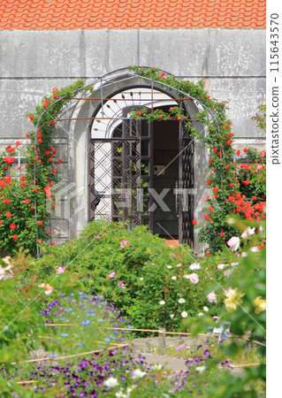 Roses of Azumino City Toyosaka Museum of Modern Art Roses of Azumino City Toyosaka Museum of Modern Art 115643570