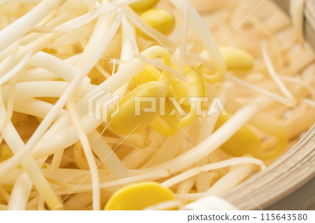 豆芽特寫背景 115643580