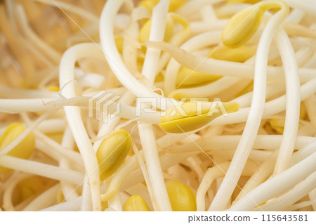 Bean sprouts close-up background 115643581