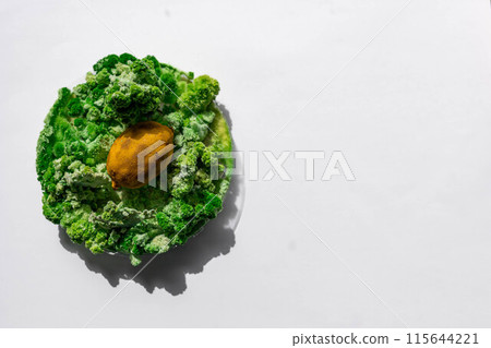 lemon with mold and moss lemon with mold and moss 115644221