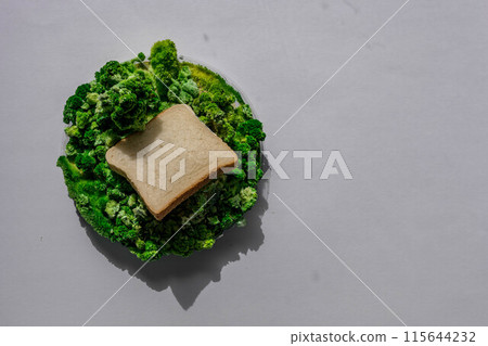 Toast bread on green leaf and moss. Toast bread on green leaf and moss. 115644232