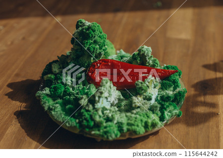 Red paprika on green mold and moss. Red paprika on green mold and moss. 115644242