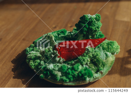 Red paprika on green mold and moss. Red paprika on green mold and moss. 115644249