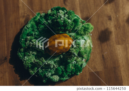 lemon with mold and moss 115644250