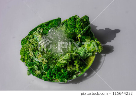 the concept of mold and plastic on a white background 115644252