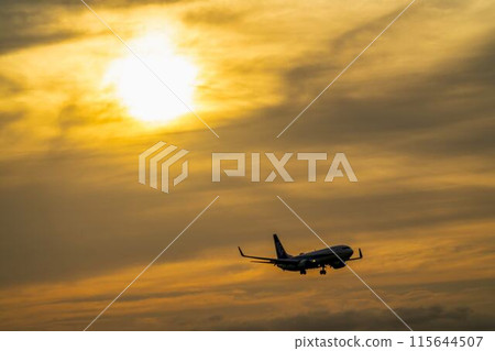 Sendai Airport at dusk, airplane landing, Natori City, Miyagi Prefecture 115644507