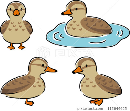 簡單可愛的鴨子插畫集（女） 115644625