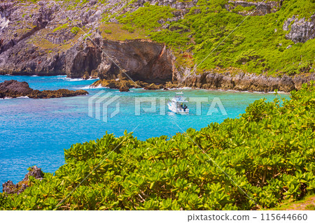 小笠原群島、父島、南島風光 小笠原群島、父島、南島風光 115644660