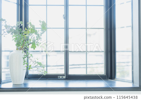 有觀葉植物的窗戶 115645438