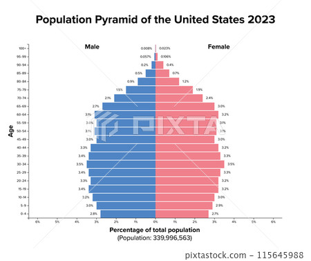 Population pyramid of United States 2023. Age structure diagram and graphical illustration of the distribution of 340 million people divided into females and males, quoted in percent and 4-year steps. Population pyramid of United States 2023. Age structure diagram and graphical illustration of the distribution of 340 million people divided into females and males, quoted in percent and 4-year steps. 115645988