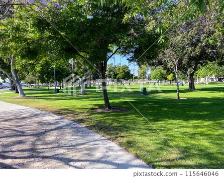 Take a walk in a well-maintained park on a nice day 115646046