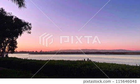 Purple sunset sky 115646048