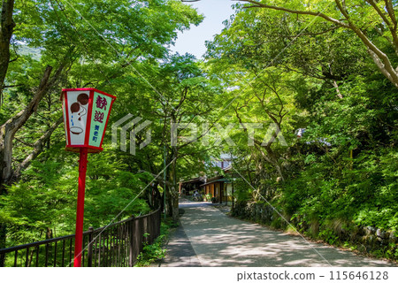 Scenery along the promenade to Yoro Falls (Yoro Park, Yoro Town, Gifu Prefecture) Scenery along the promenade to Yoro Falls (Yoro Park, Yoro Town, Gifu Prefecture) 115646128