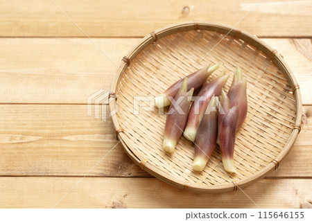 Myoga (myoga ginger) Myoga (myoga ginger) 115646155