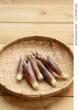 Myoga (myoga ginger) Myoga (myoga ginger) 115646162