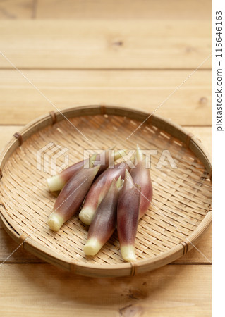 Myoga (myoga ginger) 115646163