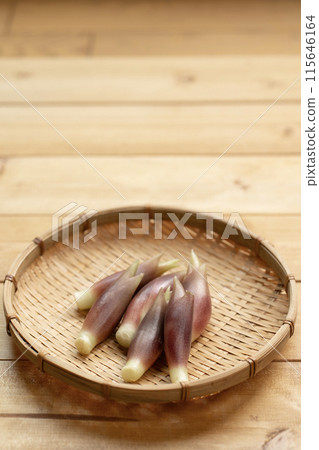 Myoga (myoga ginger) 115646164