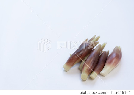 妙荷 妙荷 妙荷 115646165