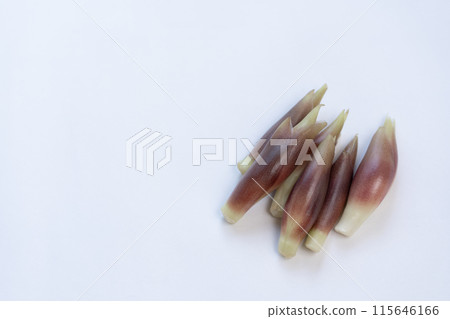 Myoga (myoga ginger) 115646166