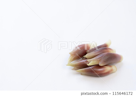 妙荷 妙荷 妙荷 115646172