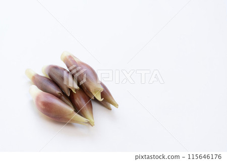 妙荷 妙荷 妙荷 妙荷 妙荷 妙荷 115646176