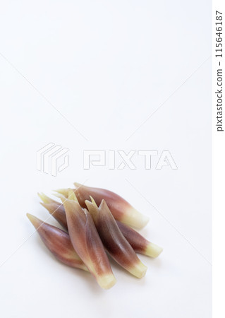 Myoga (myoga ginger) 115646187