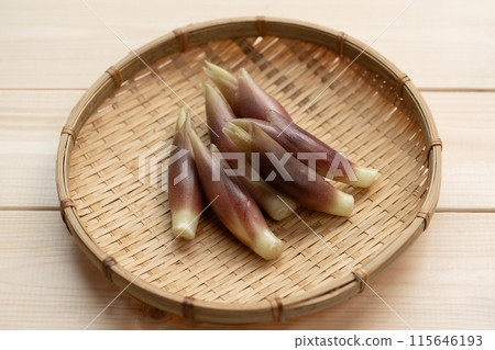 Myoga (myoga ginger) 115646193