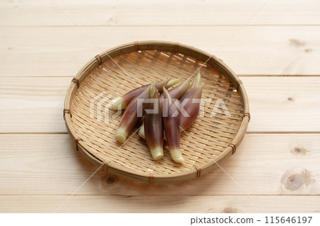 Myoga (myoga ginger) 115646197