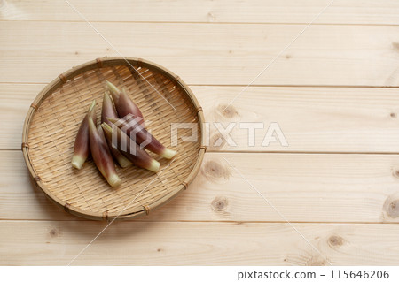 Myoga (myoga ginger) 115646206