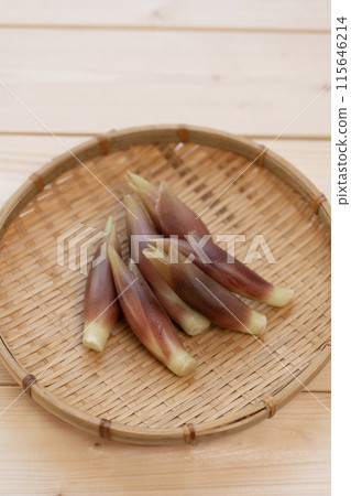 妙荷 妙荷 妙荷 115646214