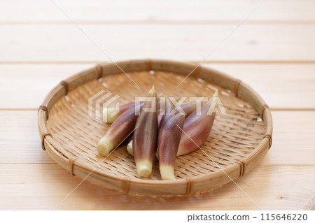 Myoga (myoga ginger) Myoga (myoga ginger) 115646220