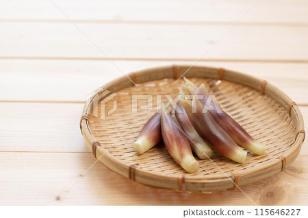 Myoga (myoga ginger) Myoga (myoga ginger) 115646227