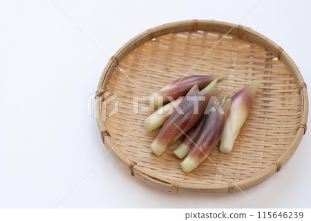 妙荷 妙荷 妙荷 妙荷 妙荷 妙荷 115646239