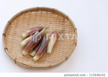 妙荷 妙荷 妙荷 115646242