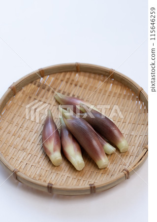 妙荷 妙荷 妙荷 妙荷 妙荷 妙荷 115646259