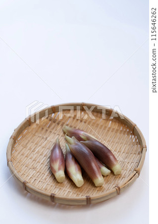 Myoga (myoga ginger) 115646262