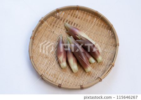 妙荷 妙荷 妙荷 115646267