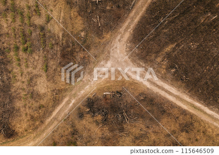 Concept Of Save Nature. Uncontrolled Deforestation Concept. Autumn Season. Aerial View Of Crossroads At Deforestation Area. Forest Deforestation Area Landscape. Forest Clearance Concept Of Save Nature. Uncontrolled Deforestation Concept. Autumn Season. Aerial View Of Crossroads At Deforestation Area. Forest Deforestation Area Landscape. Forest Clearance 115646509