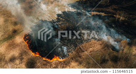 Aerial Panoramic View Of Dry Grass Burns During Drought And Hot Weather. Concept Of Save Nature. Bush Fire And Smoke In Meadow Field. Wild Open Fire Destroys Grass. Nature In Danger. Natural Disaster 115646515