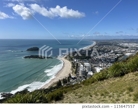 紐西蘭北島芒格努伊山 115647557