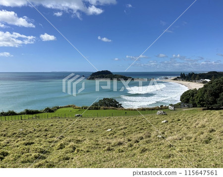 Mount Maunganui, North Island, New Zealand Mount Maunganui, North Island, New Zealand 115647561