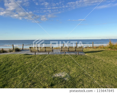 紐西蘭北島芒格努伊山 115647845