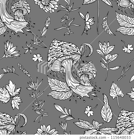 Seamless pattern with hand drawn plants, herbs, flowers and mushrooms. Botanical summer concept. Vector line art background Seamless pattern with hand drawn plants, herbs, flowers and mushrooms. Botanical summer concept. Vector line art background 115648033