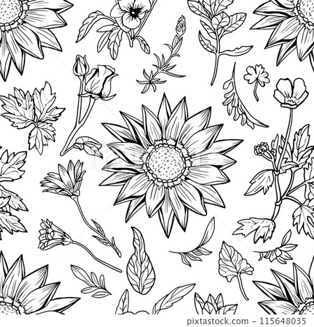 Seamless pattern with hand drawn plants, herbs, flowers and cereals on white. Botanical summer concept. Vector line art background 115648035